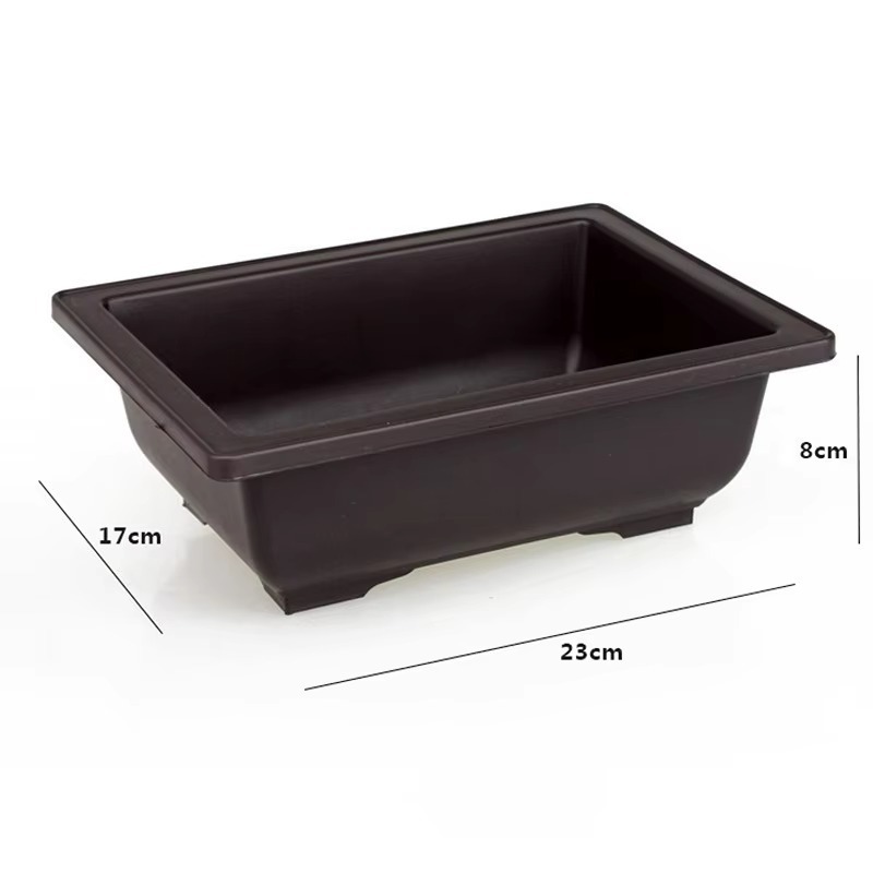 23cm