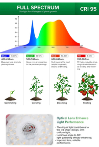 Bombilla LED PAR20 de 10W E27 para Cultivo - Product Image 4