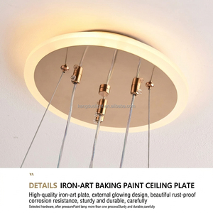 <span class=keywords><strong>Luminaire</strong></span> suspendu moderne minimaliste en fer de style nordique pour salon et <span class=keywords><strong>salle</strong></span> à <span class=keywords><strong>manger</strong></span>, éclairage intérieur LED blanc chaud - Product Image 5