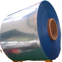 Film en rouleau PETG APET de qualité alimentaire 0,3 mm pour thermoformage
