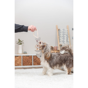 Giocattolo da masticare per animali domestici a forma di lisca di pesce, corda in cuoio 43 cm per cani - Product Image 4