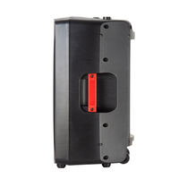 Enceinte PA active professionnelle 500W avec caisson en contreplaqué de bouleau, modes Bluetooth TWS et DSP pour groupes et DJ en direct