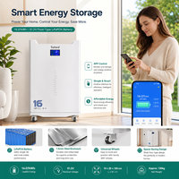 Batterie de stockage LiFePO4 solaire autonome extérieure 16 kWh 51,2 V 314 Ah empilable, intelligente, Wi-Fi, sans entretien et fiable