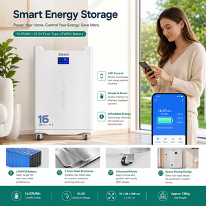 Batterie de stockage LiFePO4 solaire autonome extérieure 16 kWh 51,2 V 314 Ah empilable, intelligente, Wi-Fi, sans entretien et fiable - Product Image 5