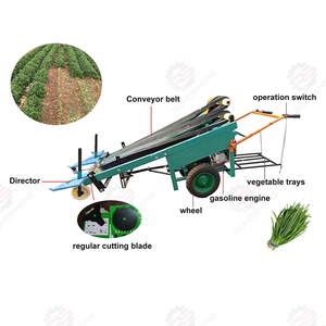 Mini Cosechadora para Cilantro, <span class=keywords><strong>Apio</strong></span>, Puerro Verde, <span class=keywords><strong>Perejil</strong></span> <span class=keywords><strong>y</strong></span> <span class=keywords><strong>Ajo</strong></span> con Motor como Componente Principal - Product Image 2