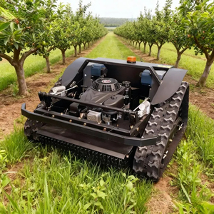 Household Industrial Cordless 4-Stroke 24V Radio Controlled Track Mowing <strong>Lawnmower</strong> and Snow <strong>Plow</strong> with Low Price - Product Image 2