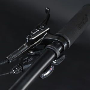 Bicicleta de Montaña Bestseller Downhill de <span class=keywords><strong>12</strong></span> Velocidades, Estilo Deportivo, 29 Pulgadas, para Desplazamientos Urbanos, con Amortiguación Especializada - Product Image 5