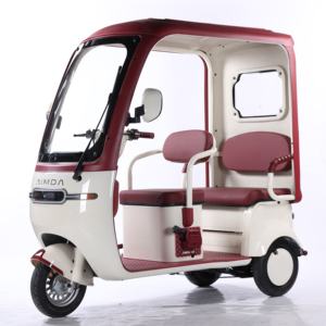 Trimotos Eléctricos al Mejor Precio para Pasajeros Adultos, Bicicleta Digital Abierta de 3 Ruedas y 3 Asientos con Luces LED - Product Image 2