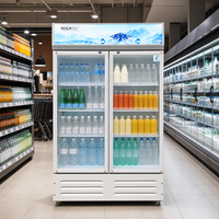 Vitrine réfrigérée verticale commerciale pour la présentation de boissons