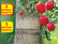 Ecologische insectenvangplaat voor fruitbomen, humane insectenvallen, vliegenvanger, kleefval voor insecten.