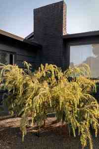 Supdesigner, Servicio de Renderizado 3D Residencial, Diseño de Interiores de Villas de Lujo Modernas, Renderizado 3D Personalizado, Diseño de Interiores para el Hogar - Product Image 4