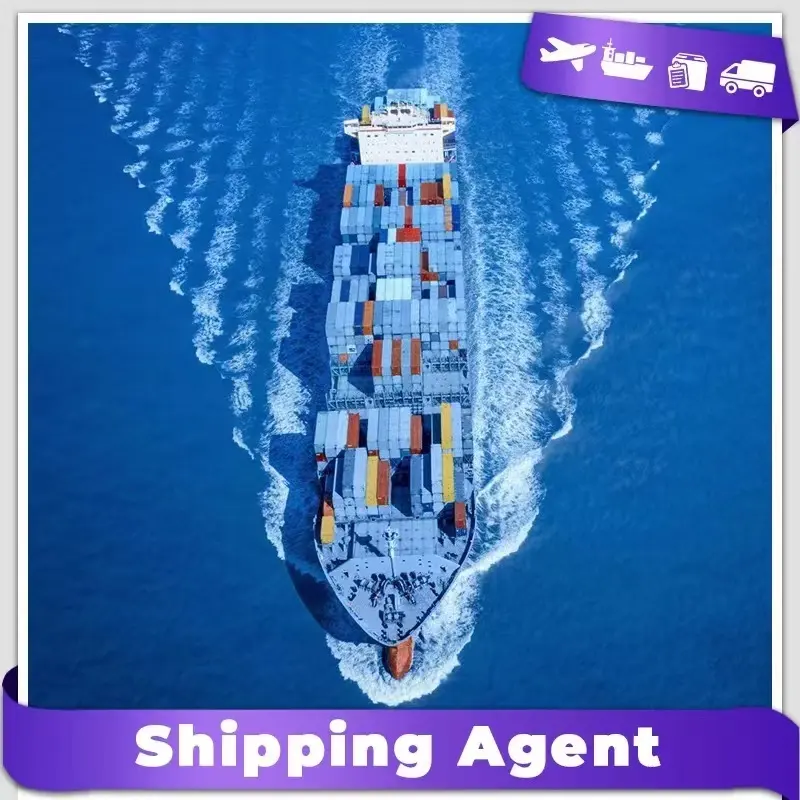 DDP / DDU Shipping agent Freight Forwarder China to Australia Dubai UAE USA UK Italy France Germany Worldwide