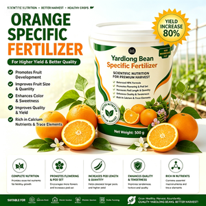 Fertilizante en Polvo NPK Especial Premium <span class=keywords><strong>de</strong></span> 500g <span class=keywords><strong>para</strong></span> Naranjos, Mejora la Dulzura del Fruto, el Color Vívido <span class=keywords><strong>de</strong></span> la Piel y la Textura <span class=keywords><strong>de</strong></span> la Pulpa, Fortalece - Product Image 3