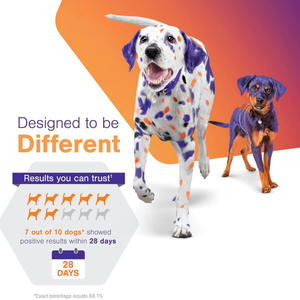 לוגו פרטי מרכיבים מותאמים אישית מפרק ירך ומפרק מגן על מבנה סחוס מקל על אי נוחות - Product Image 4