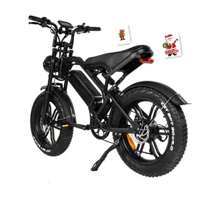 2023 bicicleta elétrica V20 ebike para adultos bicicleta elétrica 1000W motor duplo sufe r 20*4.0 polegada neve fatbike 73 Elétrica Dirt Bike
