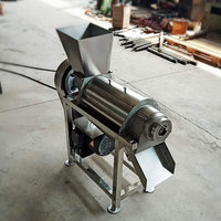 Machine de traitement de jus d'ananas et de fruits pressés à froid, extracteur de jus de gingembre et de pommes Commercial