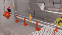 Abreuvoir automatique pour poulets en acier inoxydable avec tétine pour cage