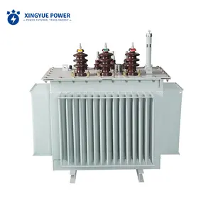 Low Voltage Transformer 10kV 50kVA 33kV 75kVA 80kVA 415V Step Down Oil Immersed Transformer