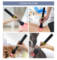 Appareil de thérapie par laser à lumière rouge LLLT 808 nm pour le soulagement de la douleur équine, l'arthrite et le traitement de la douleur sciatique