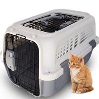 BH-2 Nouveau Design Portable En Plastique Avion Chien Flight Case Compagnies Aériennes Voyage Pet Transport Cage
