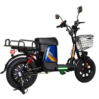 DISIYUAN 16 "Monstr 800W 60V 21Ah 60V30A vélo électrique 48V batterie au Lithium Cargo Service de livraison cyclomoteur vélo électrique