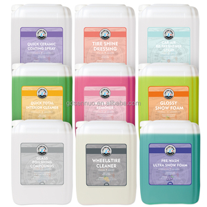 무료 샘플 22pcs 100ml 세차 키트 샴푸 비누 디테일링 자동차 관리 액체 퀵 디테일링 브레이크 리무버 중장비 클리너