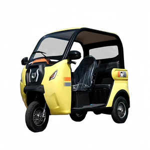 3 Wheel Electric Scooter <strong>Trike</strong> Motor 3 Wheels Three Wheel <strong>E</strong> Bike <strong>Enclosed</strong> Electric Tricycle With Roof - Product Image 1