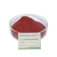 Poudre de concentré de fruits et légumes lyophilisés et séchés par pulvérisation, soluble dans l'eau, pour jus de fruits et crème glacée