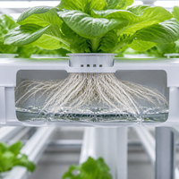 Conteneur d'agriculture verticale modulaire certifié CE, ferme hydroponique intelligente pour la culture de légumes à feuilles vertes, prix d'usine, exportation