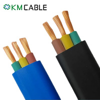 Spezielles Tauchpumpenkabel JHSB-Kabel, Tiefbrunnenpumpen-Kabel 2/3-adrig 2,5/4/6mm²