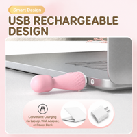 Mini vibromasseur, stimulateur clitoridien, jouets sexuels pour femmes