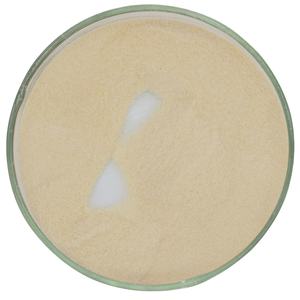 高品質のアガーアガー900 - Product Image 1