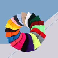 Vente en gros de nouveaux bonnets tricotés pour adulte avec logo de dessin animé mignon brodés personnalisés