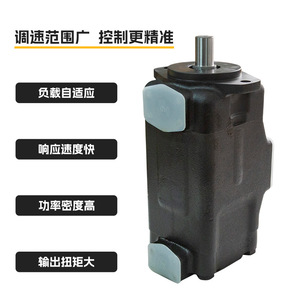 Bomba de paletas Rexroth PVV1/2/4/5 de 1 etapa con montaje de brida, bomba hidráulica industrial para máquinas de moldeo por inyección - Product Image 4