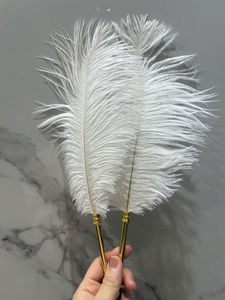 Tốt Nhất Bán Cổ Điển Lựa Chọn Sang Trọng Bất Đà Điểu Lông Kim Loại Bút Bi Tổ Chức Sự Kiện Đám Cưới Ký Trang Trí Quill Dip Bút - Product Image 6