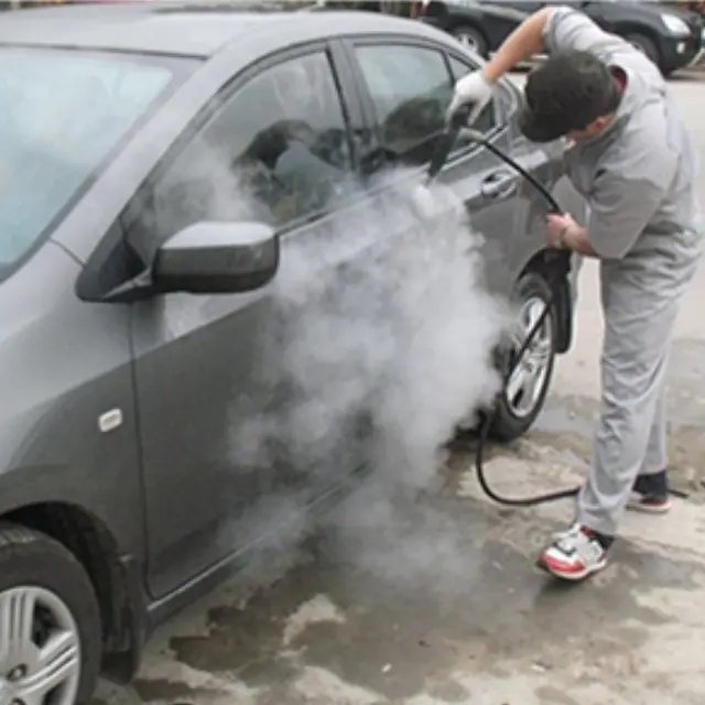 Nieuwe Hogedruk Mobiele Auto Wasmachine Damp Reiniger Stoomreiniger Voor Gas