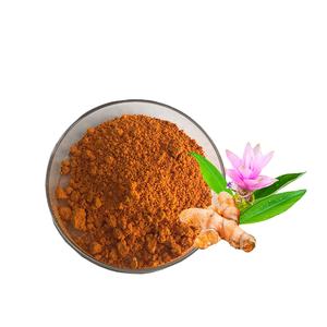 Ekstrak akar kunyit alami baru bubuk Liposomal Kurkumin HPLC kemasan Drum telah diuji - Product Image 1