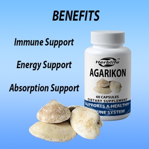 Cápsulas de Agarikon OEM/ODM en Oferta - Suplemento para el Sistema Inmunológico - Suplemento de Hongos 60 Cápsulas (60 Porciones)* - Product Image 3