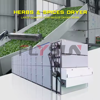 Séchoir à bande transporteuse automatique en acier inoxydable à chauffage au gaz, haute efficacité, économie d'énergie, pour la paille de Timothy, l'alfalfa et le Krotom