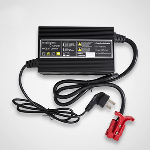 <span class=keywords><strong>Chargeur</strong></span> Professionnel de Batteries au Lithium LiFePO4 et au Plomb, Intelligent <span class=keywords><strong>pour</strong></span> Chariot de Golf 12V 24V 48V, Fournisseur d'Usine - Product Image 1