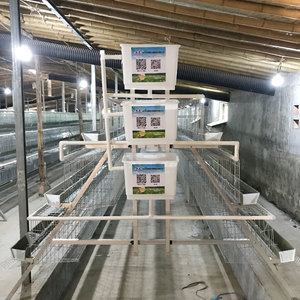 Alta calidad promoción Thinkstock jaula <span class=keywords><strong>de</strong></span> <span class=keywords><strong>pollo</strong></span> <span class=keywords><strong>granja</strong></span> <span class=keywords><strong>de</strong></span> aves <span class=keywords><strong>de</strong></span> corral para la venta - Product Image 5