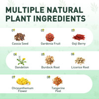 Sachets de thé aux feuilles de pissenlit naturelles sans sucre, à base de plantes, pour soutenir la détoxification du foie et l'équilibre hydrique