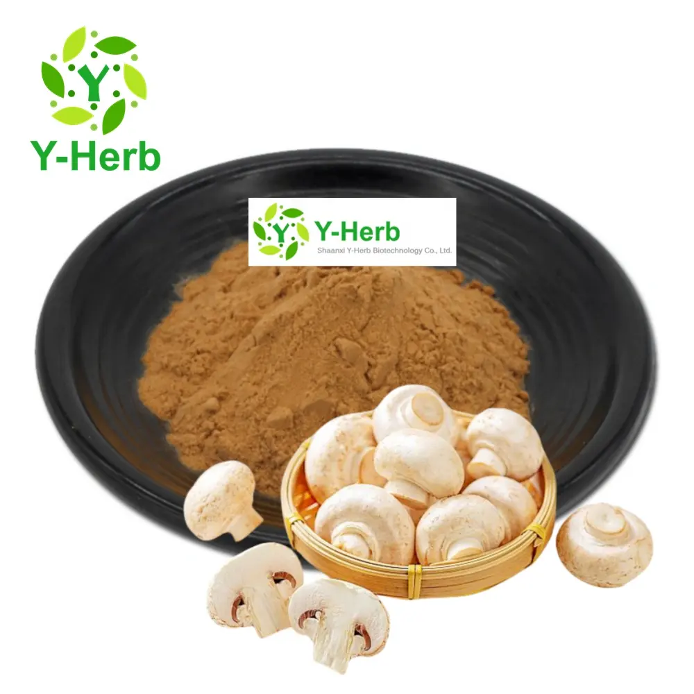 Agaricus Bisporus(Lange) Sing P.E. Polysaccharides Powder 10% 20% 30% Agaricus Bisporus Mushroom Extract