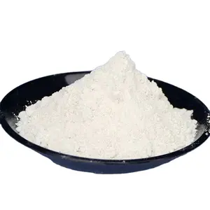 Factory direct supply calcium carbonate powder Sodium Factory Direct Supply CAS 471-34-1 Calcium carbonate