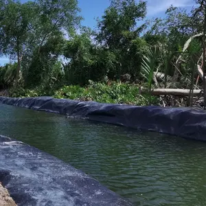 1 مللي متر 2 مللي متر للماء الجغرافية الأغشية البلاستيك الاصطناعي بحيرة السد بطانة السباحة بركة HDPE غشاء أرضي