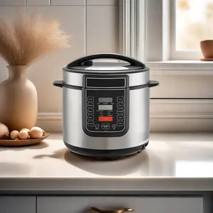 Luxury CE CB stainless steel inner pot 1000W 6L 14 in 1Dessini Electric Pressure Cooker for lamb shoulder lamb curry lentil soup