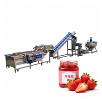 Aardbeien-mango-jam productielijn met PLC-besturing, kook- en vulapparatuur voor fruitverwerking
