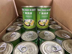 Huevos de codorniz enlatados, agua hervida, 24 Uds., lata sin aditivos, huevos frescos de euail, alto contenido en proteínas con precios competitivos - Product Image 2