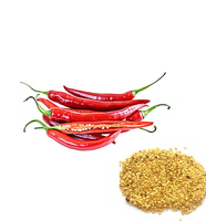 Grossistes Meilleur Prix Graines de piment de Chine Graines de piment hybride Graines de piment rouge chaud