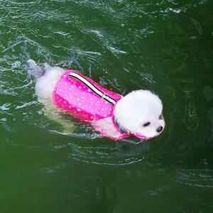 Forniture per animali domestici nuovo Designer di lusso vestiti per cani da trazione portatile giubbotto di salvataggio per cani di piccola taglia - Product Image 5